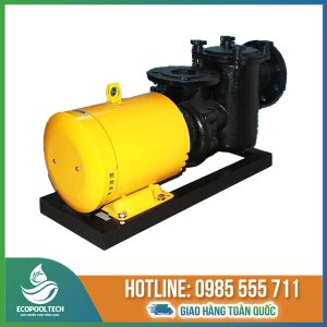 Máy bơm bể bơi Pikes CCPB