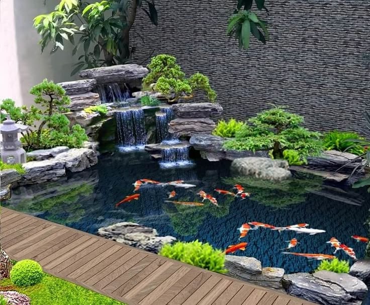 thi công hồ cá koi