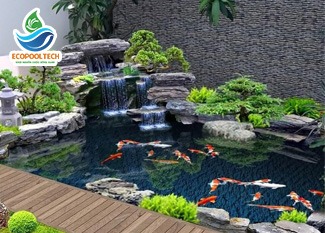 Dịch vụ thi công hồ cá Koi