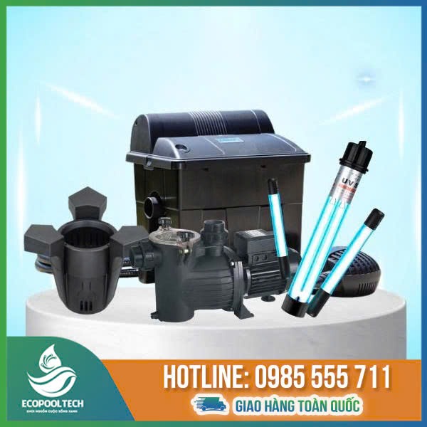 thiết bị hồ cá koi